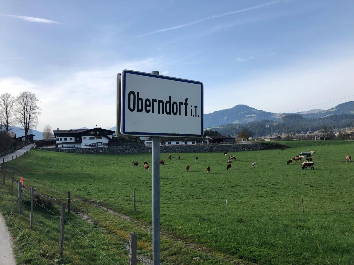 Landhaus Ammer Oberndorf en Tyrol Extérieur photo